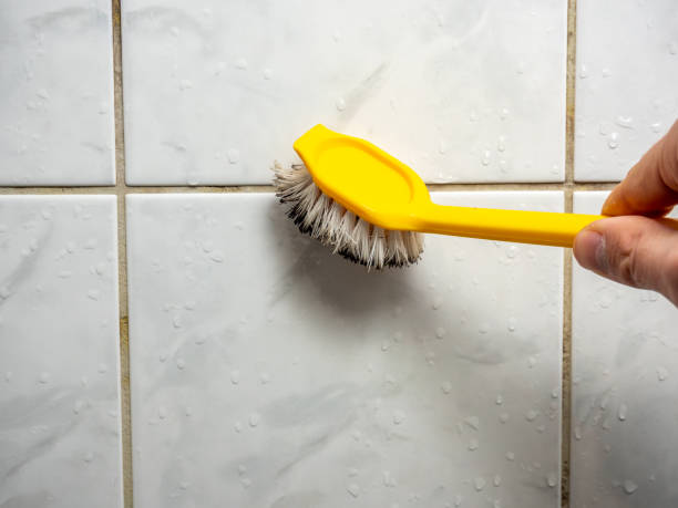 Best Commercial Mold Remediation in Windom, MN